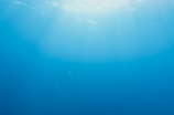 【深海美人鱼】追踪：深海中竟然有这么美的景色！
